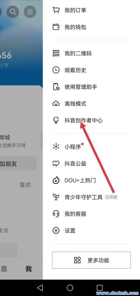 手机抖音刷播放量软件,关于手机抖音刷播放量的软件:一种深入了解的分析!