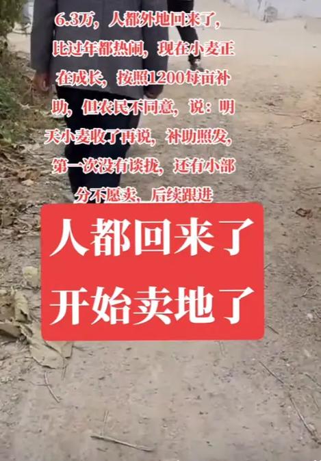 抖音点赞刷关注赚钱吗,抖音点赞刷关注赚钱吗?探究现象背后的真相!