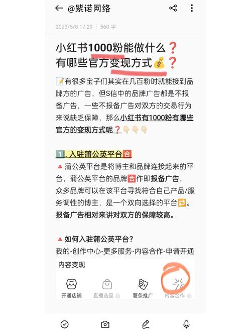 重写标题：粉丝可购买10000个的方法,如何购买粉丝达到一万？粉丝增长策略深度解析!