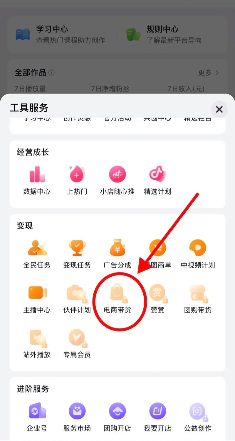 抖音粉丝业务网站怎么做,抖音粉丝业务网站的建设与运营：从零开始的全方位指南!