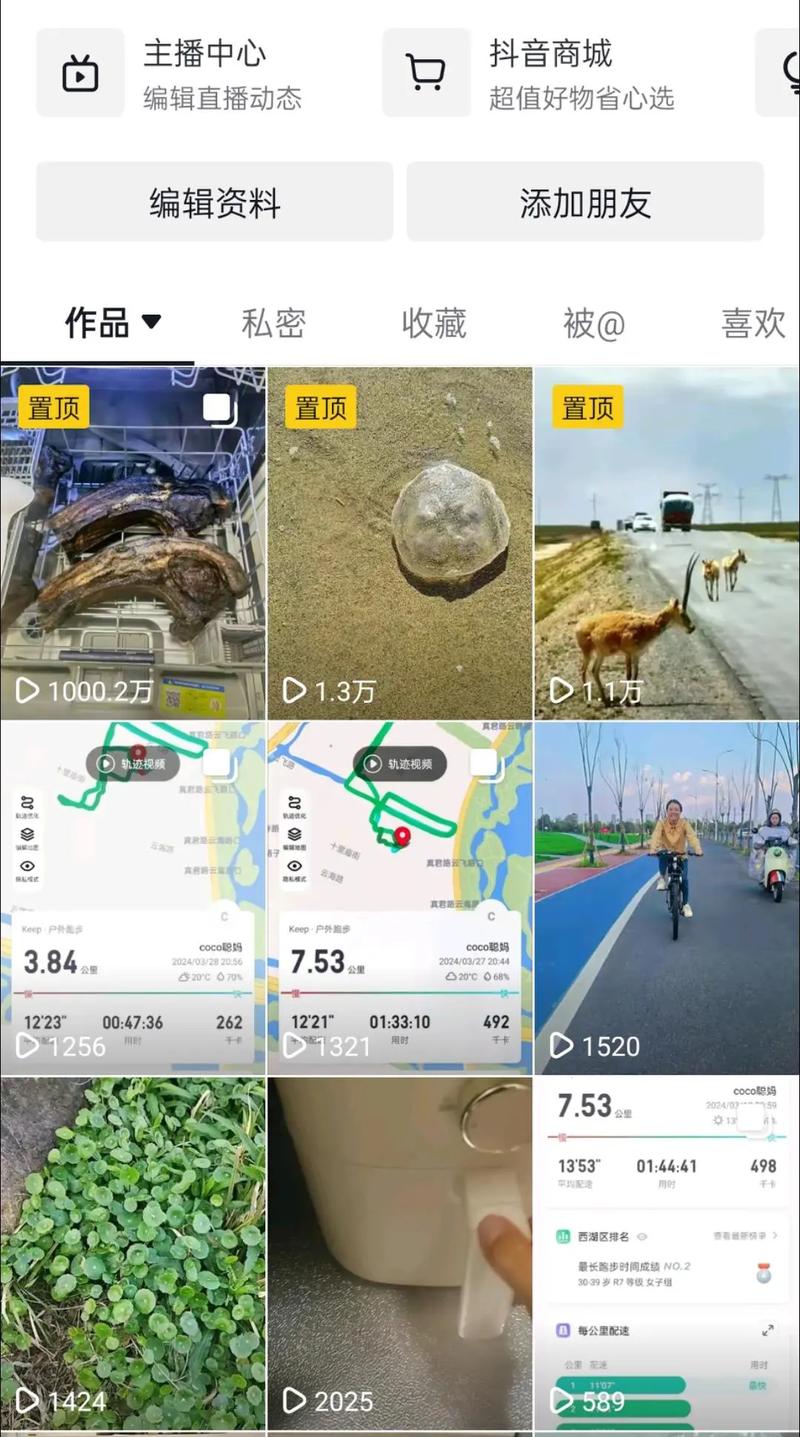 抖音刷作品播放量软件,抖音刷作品播放量软件:探究背后的真相与影响!