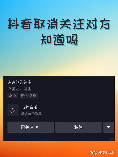抖音粉丝自助业务怎么取消,关于抖音粉丝自助业务取消的详解!