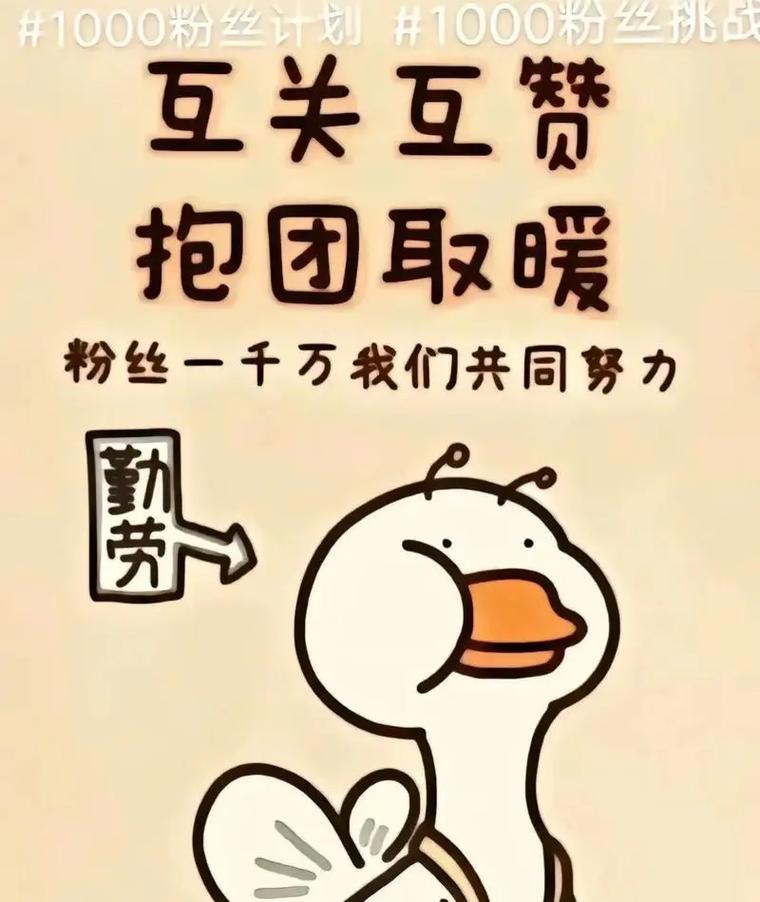 抖音千川广告涨粉素材在哪里找,抖音千川广告涨粉素材哪里找——深度解析与实用指南!