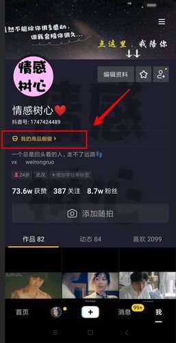 抖音千川涨粉为什么开不了橱窗,抖音千川涨粉后为何无法开启橱窗功能?深度解析其原因与解决方案!