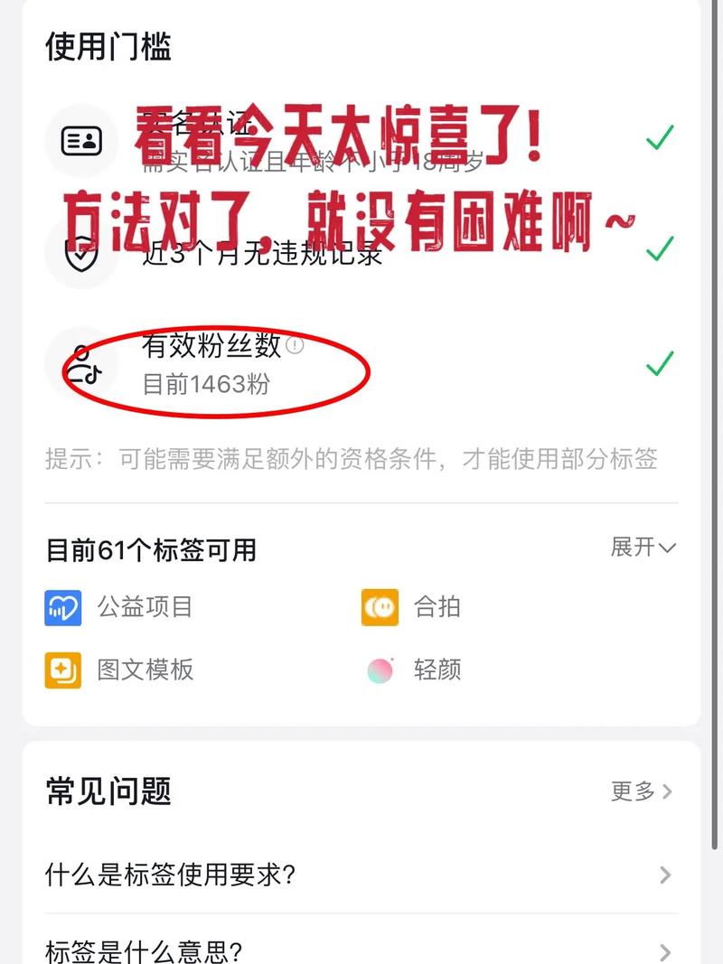 抖音去哪里看有效粉丝,抖音有效粉丝的重要性与查看途径!