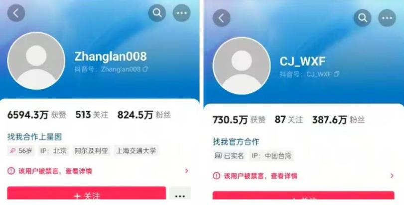 购买1000粉丝的抖音号,购买抖音粉丝：深度探讨背后的动机与影响!