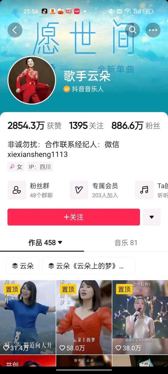 抖音粉丝业务网站是什么,抖音粉丝业务网站：探索其定义、功能及影响!