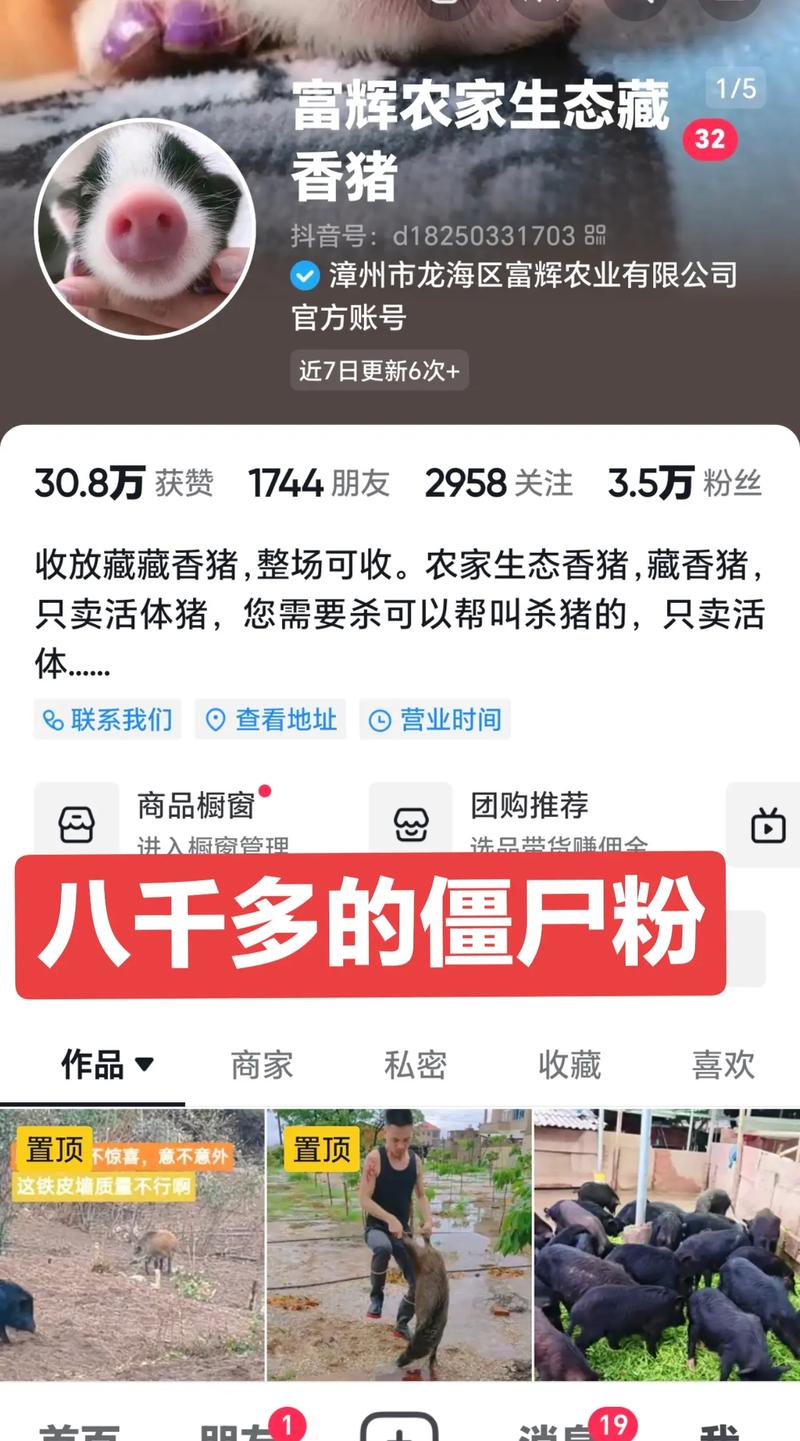 买抖音僵尸粉,标题：关于购买抖音僵尸粉的深度探讨——一个违法犯罪的警示!