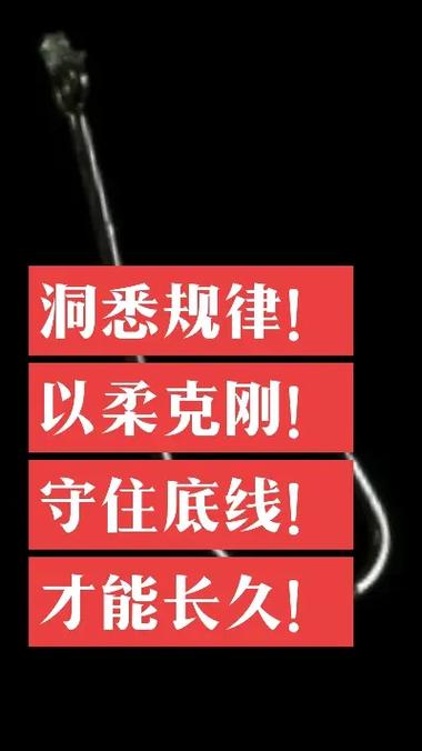 怎么在抖音看有效粉丝,标题：深入探究抖音——如何洞悉有效粉丝群体，以创造高质量的内容及营销互动价值!