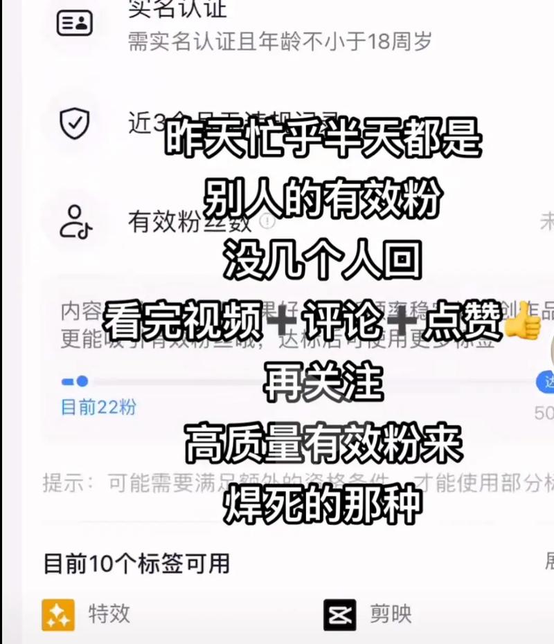 抖音评论有效粉丝是什么,抖音评论有效粉丝:深度解析与策略构建!