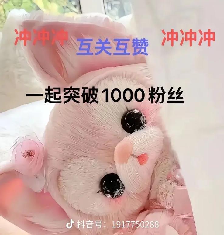 抖音1元购买1000粉丝