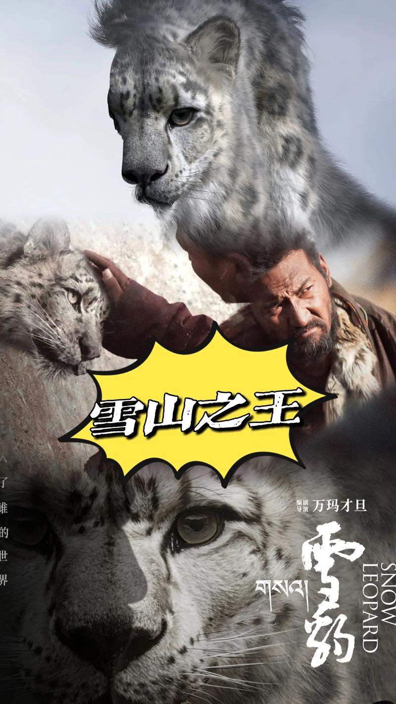 雪豹抖音粉丝购买网站,雪豹抖音粉丝购买网站：揭秘背后的现象与挑战!