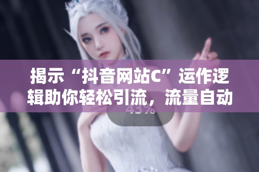 揭示“抖音网站C”运作逻辑助你轻松引流，流量自动上门