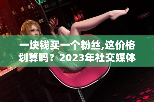 一块钱买一个粉丝,这价格划算吗？2023年社交媒体推广成本分析