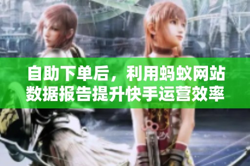 自助下单后,利用蚂蚁网站数据报告提升快手运营效率的策略分析 自助下单后,利用蚂蚁网站数据报告提升快手运营效率的策略分析