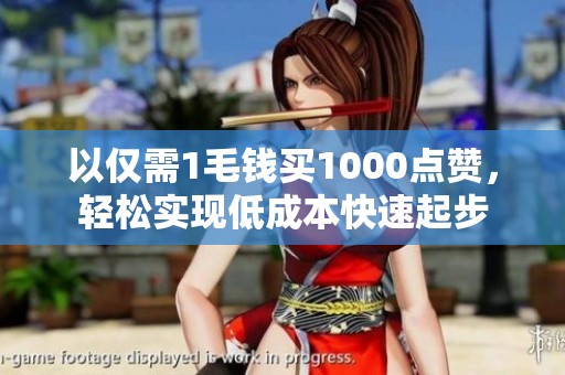 以仅需1毛钱买1000点赞，轻松实现低成本快速起步