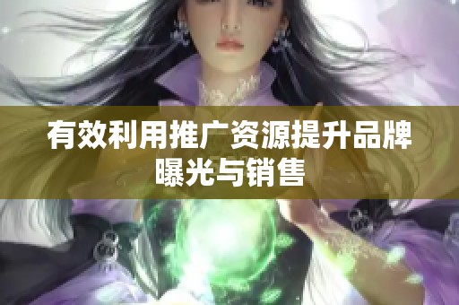 有效利用推广资源提升品牌曝光与销售