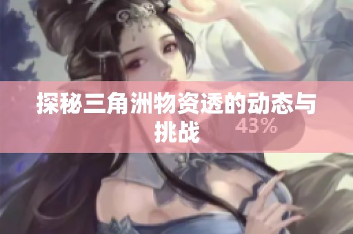 探秘三角洲物资透的动态与挑战 探秘三角洲物资透的动态与挑战