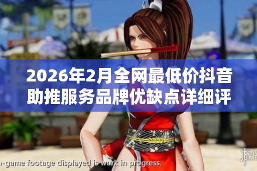 2026年2月全网最低价抖音助推服务品牌优缺点详细评测与对比分析