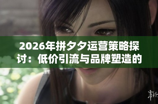 2026年拼夕夕运营策略探讨：低价引流与品牌塑造的选择