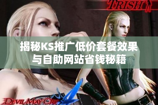 揭秘KS推广低价套餐效果与自助网站省钱秘籍 揭秘KS推广低价套餐效果与自助网站省钱秘籍