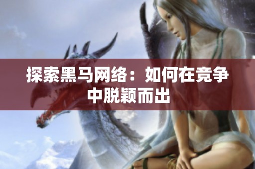 探索黑马网络:如何在竞争中脱颖而出 探索黑马网络:如何在竞争中脱颖而出