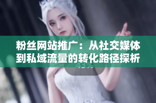 粉丝网站推广:从社交媒体到私域流量的转化路径探析 粉丝网站推广:从社交媒体到私域流量的转化路径探析