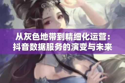 从灰色地带到精细化运营:抖音数据服务的演变与未来展望 从灰色地带到精细化运营:抖音数据服务的演变与未来展望
