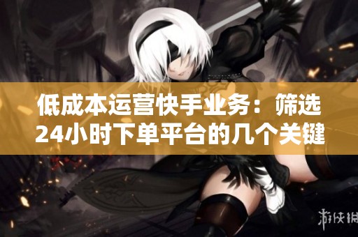 低成本运营快手业务:筛选24小时下单平台的几个关键指标 低成本运营快手业务:筛选24小时下单平台的几个关键指标