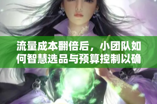 流量成本翻倍后，小团队如何智慧选品与预算控制以确保ROI？