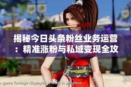 揭秘今日头条粉丝业务运营：精准涨粉与私域变现全攻略