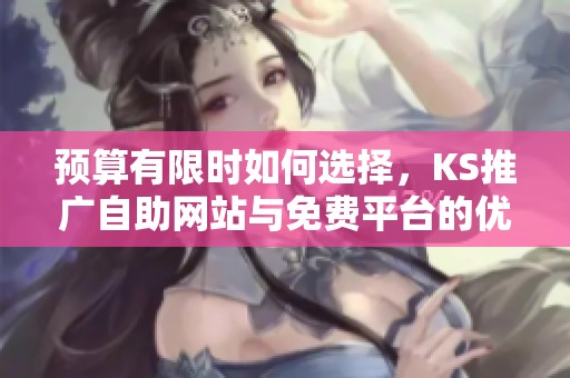 预算有限时如何选择,KS推广自助网站与免费平台的优劣分析 预算有限时如何选择,KS推广自助网站与免费平台的优劣分析