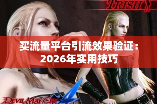 买流量平台引流效果验证:2026年实用技巧 买流量平台引流效果验证:2026年实用技巧