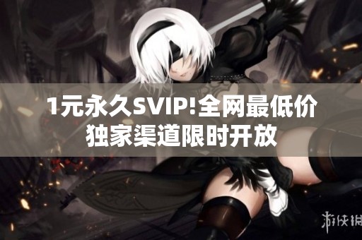 1元永久SVIP!全网最低价独家渠道限时开放 1元永久SVIP!全网最低价独家渠道限时开放