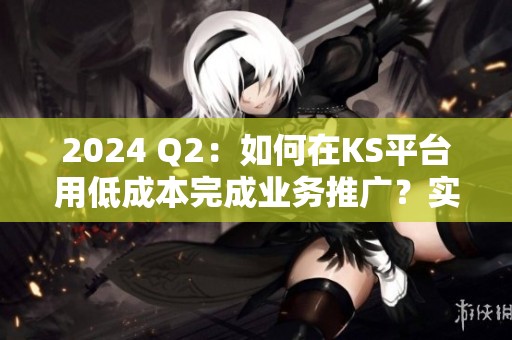 2024 Q2：如何在KS平台用低成本完成业务推广？实操避雷指南