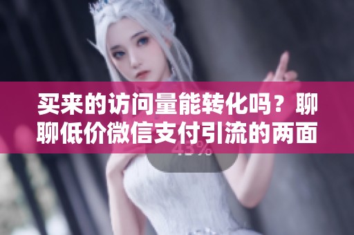 买来的访问量能转化吗?聊聊低价微信支付引流的两面性 买来的访问量能转化吗?聊聊低价微信支付引流的两面性