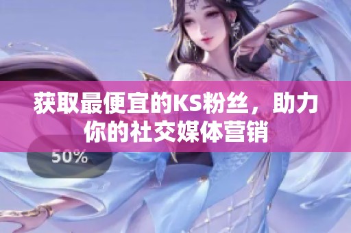 获取最便宜的KS粉丝,助力你的社交媒体营销 获取最便宜的KS粉丝,助力你的社交媒体营销