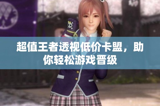 超值王者透视低价卡盟，助你轻松游戏晋级