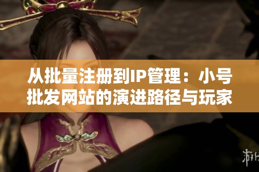从批量注册到IP管理：小号批发网站的演进路径与玩家分化