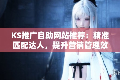 KS推广自助网站推荐：精准匹配达人，提升营销管理效率