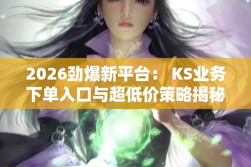 2026劲爆新平台： KS业务下单入口与超低价策略揭秘
