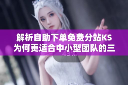 解析自助下单免费分站KS为何更适合中小型团队的三大优势 解析自助下单免费分站KS为何更适合中小型团队的三大优势