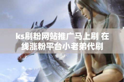 ks刷粉网站推广马上刷 在线涨粉平台小老弟代刷