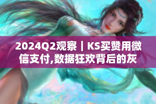 2024Q2观察|KS买赞用微信支付,数据狂欢背后的灰色链 2024Q2观察|KS买赞用微信支付,数据狂欢背后的灰色链
