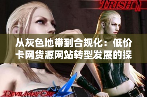 从灰色地带到合规化：低价卡网货源网站转型发展的探索之路
