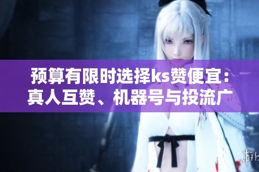预算有限时选择ks赞便宜：真人互赞、机器号与投流广告的全面解析