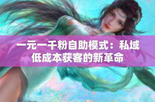 一元一千粉自助模式：私域低成本获客的新革命