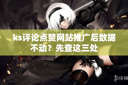 ks评论点赞网站推广后数据不动？先查这三处